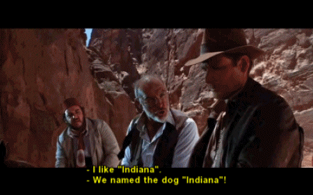Named The Dog Indiana.gif