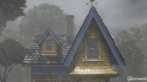 Shot 45 - A Tree Falls 500.gif